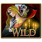 Wild Symbol