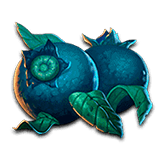 Blueberry Symbol