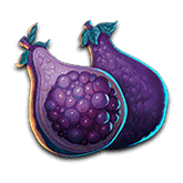 Fig Symbol
