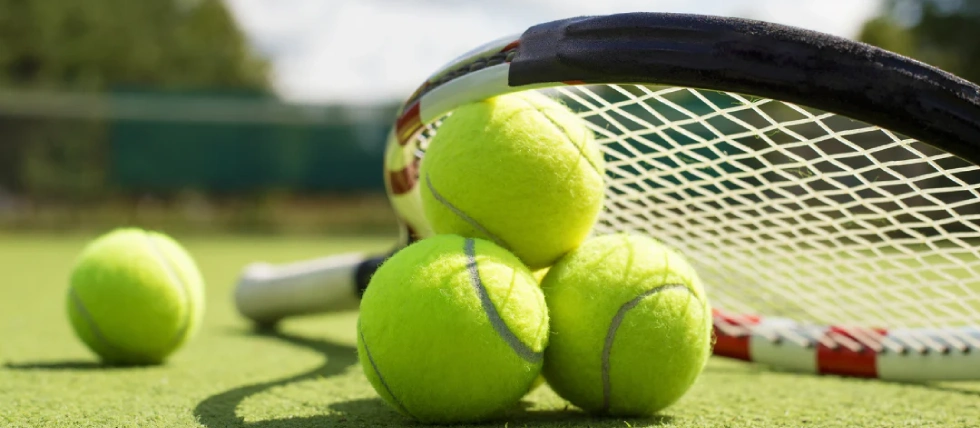 Five French players banned for tennis anti-corruption violations